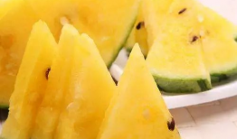 51今日黑瓜吃料爆料15,揭秘15号神秘爆料背后的真相